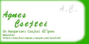 agnes csejtei business card